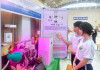 120 dự án vào vòng chung khảo Cuộc thi Khoa học, kỹ thuật cấp tỉnh